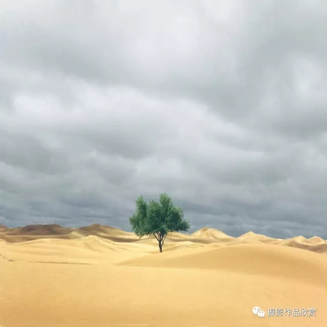 03.webp.jpg 03.webp.jpg