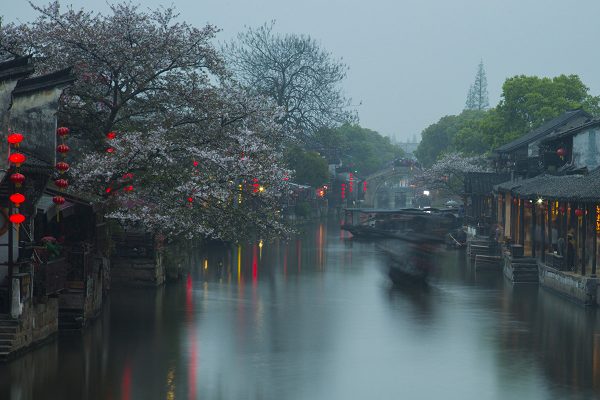 19-春雾--闫长春.jpg 19-春雾--闫长春.jpg
