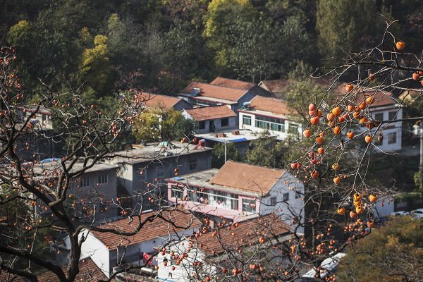 35-山村--王明政.jpg 35-山村--王明政.jpg