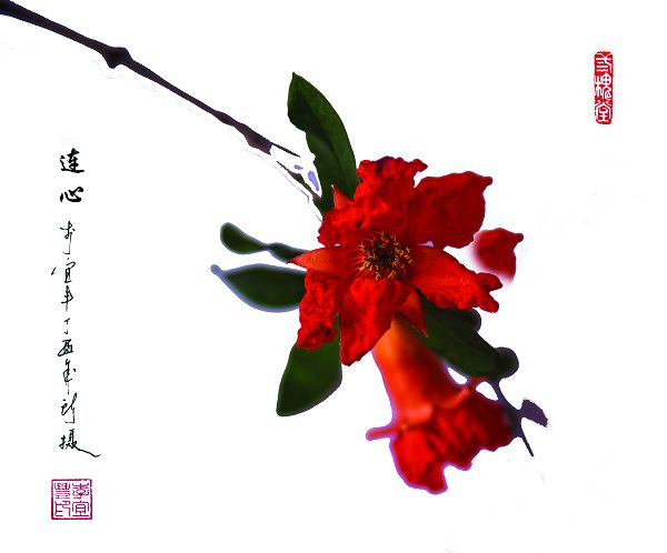 56-同心花--李宜丰.jpg 56-同心花--李宜丰.jpg