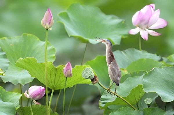 5����������� ��ѩ��.jpg